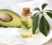 Avocado Oil